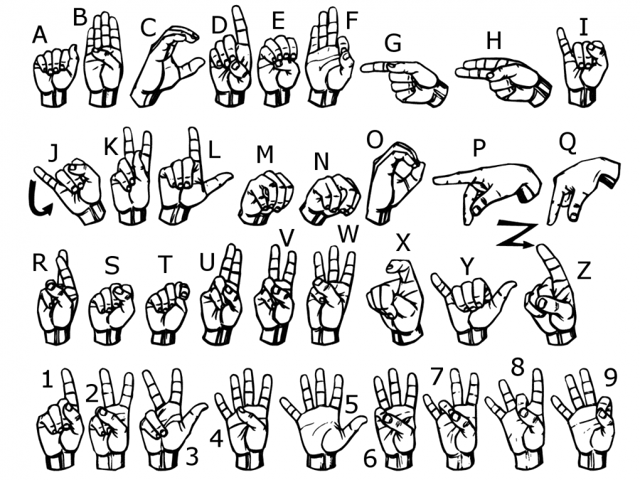Learn a language and make new friends in sign language club
