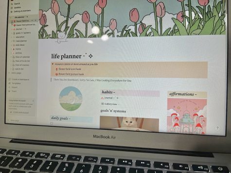 Review: Notion - More Than a Planner?