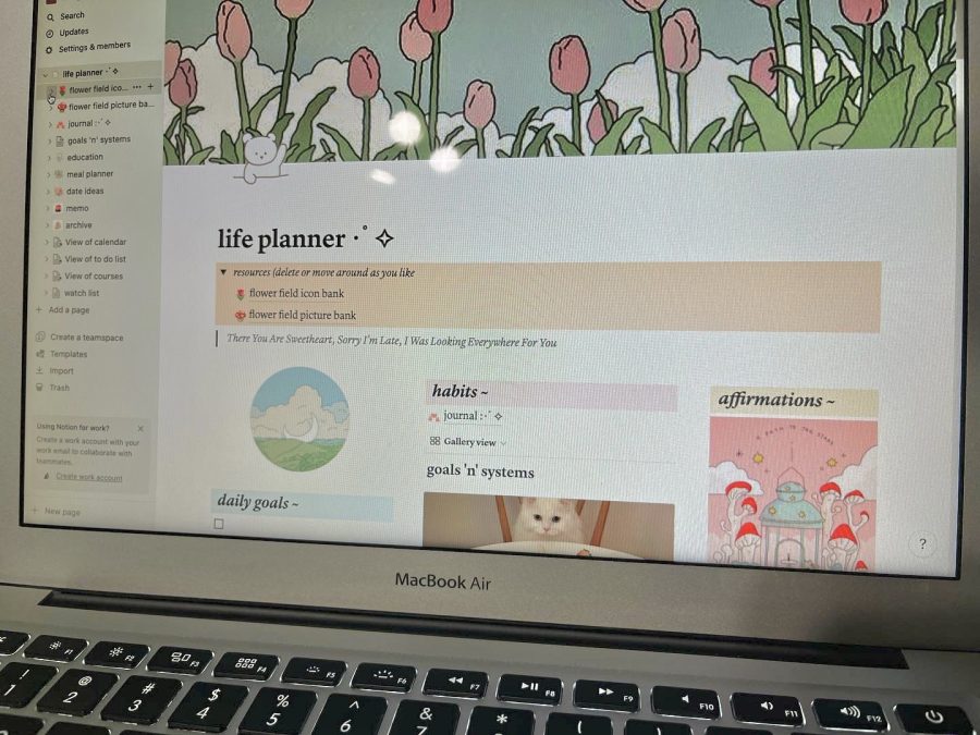 Review: Notion - More Than a Planner?