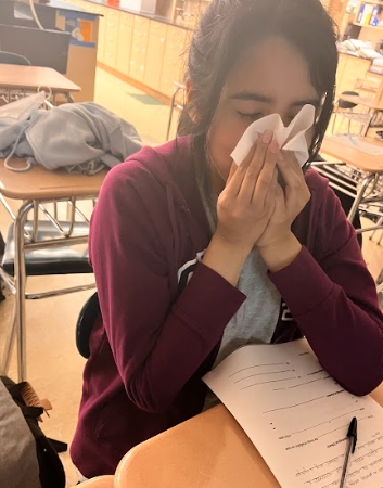 Students and Staff Struggle With Springtime Allergies