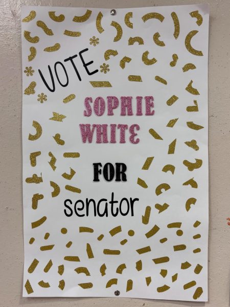 Candidates for Student Council taped posters throughout the building to publicize their candidacy. Sophie White, whose poster is pictured here, was successfully elected.