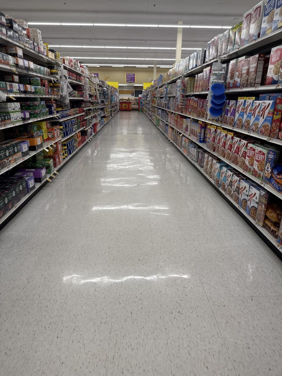 Many families cannot afford food on grocery shelves, as food insecurity affects many families across the world,